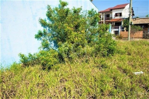 Imagem 4 de 11 de Terreno - Jardim Leopoldina - Ref: 590803 - V-ca5192