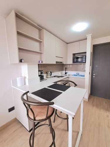 Estupendo Home-studio Amoblado, Centro Ccp. (93046)