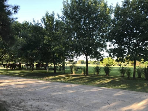 Imagen 7 de 10 de Excelente Oportunidad Casa De Campo En Club De Campo Santa Catalina - Mallmann Propiedades