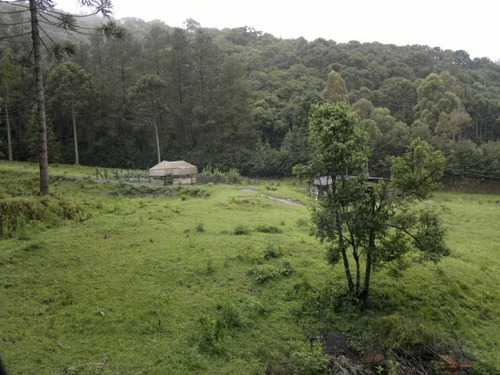 Imagem 12 de 15 de Magnifica Fazendinha 33 Alqueires - St-631