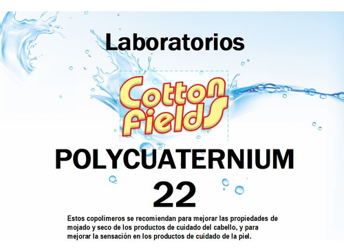 Policuaternium 22 - Cosmetica - Cabello - Uñas X 1 Kg