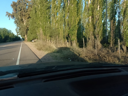 Imagen 16 de 28 de Vendo/permuto Finca Apto Todo Destino (viña, Cultivos Grales Y Ademas Cannabis Medicinal) O Loteo Club De Campo -alto Del Algarrobal-san Rafael -mendoza Sobre Rn 146 Km 376.1