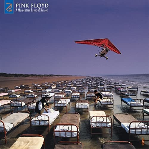 Cd A Momentary Lapse Of Reason (remixed And Updated Cd/...