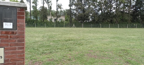 Imagen 11 de 12 de Venta-terreno -pilar- Santo Tomas-interno