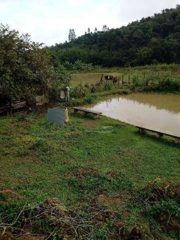 Imagem 1 de 5 de Chácara Com 3 Dormitórios À Venda, 10430 M² Por R$ 415.000 - Borba - Pindamonhangaba/sp - Ch0593
