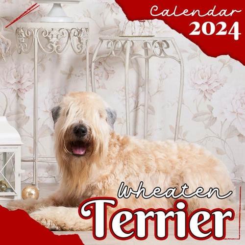 Libro: Wheaten Terrier Calendar 2024: 12-month Calendar, Jan
