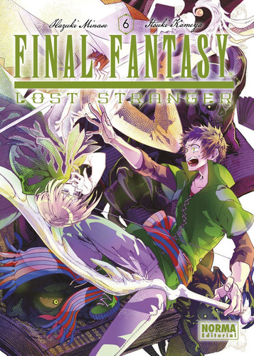 Libro Final Fantasy Lost Stranger 06