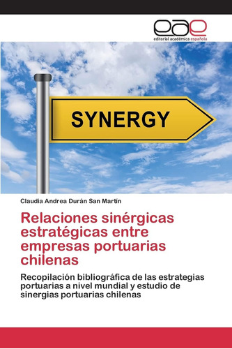 Libro: Relaciones Sinérgicas Estratégicas Entre Empresas Por