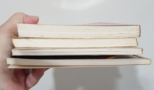 Livro A Reencarnação + 3 (Usado)