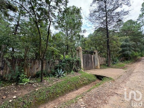 Venta Terreno 0 Ambiente Chijiltec (san Isidro)
