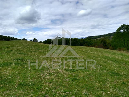Agrícola Campo O Inmobiliario Loteo En Venta En Panguipulli