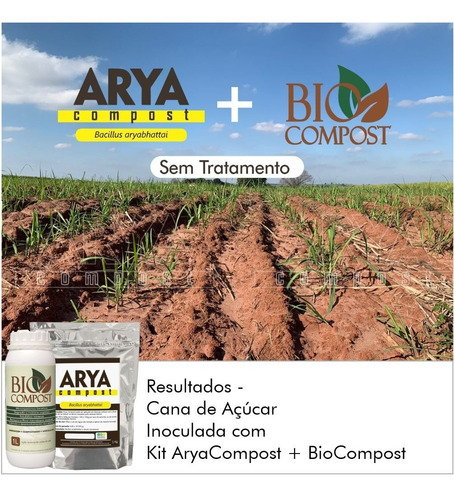 Biocompost Azospirillum + Bacillus Aryabhattai (4kits)