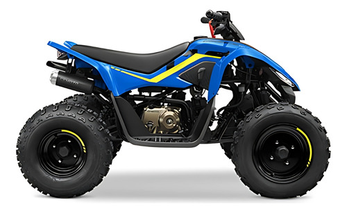 Cuatriciclo Cfmoto Cforce 110 Niños 0km Palermo Bikes