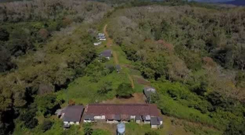 Imagem 10 de 30 de Fazenda De Cacau, Látex E Mogno No Brasil - Cidade Ituberá-ba - 7654