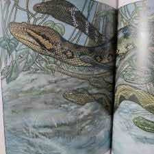 Imagen 3 de 5 de Anaconda Y Otros Cuentos / Horacio Quiroga