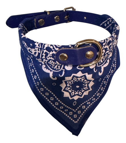Collar Paliacate Para Tu Mascota