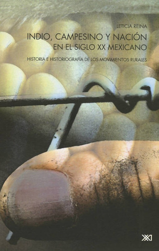 Indio, Campesino Y Nacion En El Siglo Xx Mexicano: Historia 