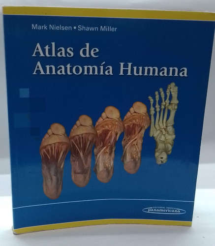 Atlas De Anatomía Humana