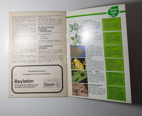 Revista Plantas De Rio Negro. Año 1985 #e2 (Usado)