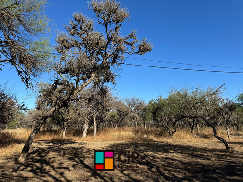 Venta De Lotes En Carpinteria Financiados