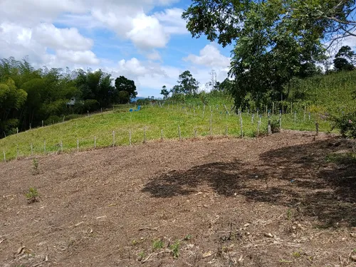 Vendo Finca Ganadera En Restrepo Valle