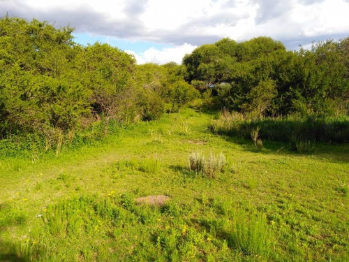 Terrenos O Lotes Venta San Lorenzo