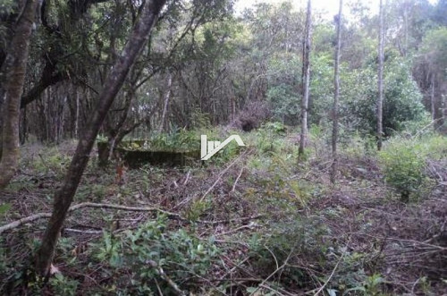 Imagem 7 de 13 de Terreno Para Chácara Com 7000 M² A 4km Do Rodovia