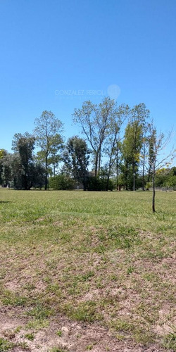 Terreno Lote  En Venta Ubicado En El Aljibe, Pilar