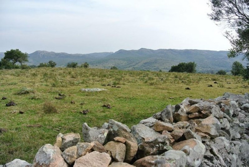 Mieres Vende Campo , Maldonado. Fracción De 41,5 Hectáreas