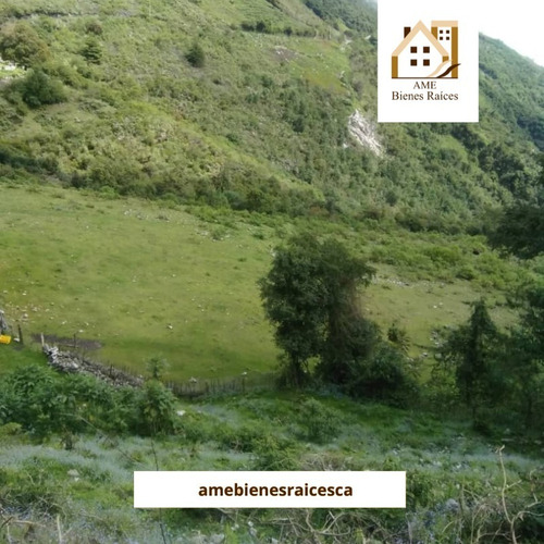 Imagen 8 de 10 de Finca En Alto De Mucuyupu, Timotes Piñango (la Laja)