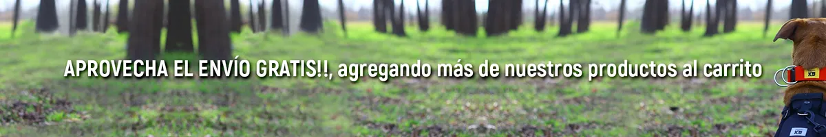 ¡Aprovechá el envío agregando más de nuestros productos a tu carrito!