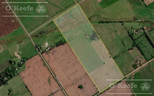 Campo En Venta De 50 Has En Carlos Keen - A 1 Hora De Caba