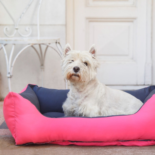Cama Para Perro Modelo Rio Grande