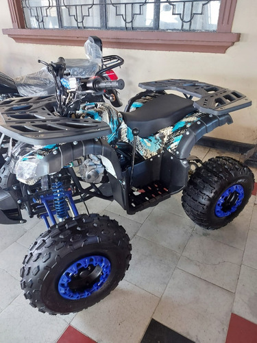 Imagen 7 de 10 de Sunl Atv 125cc Con Reversa