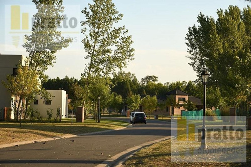 Imagen 10 de 13 de Terreno - San Matias