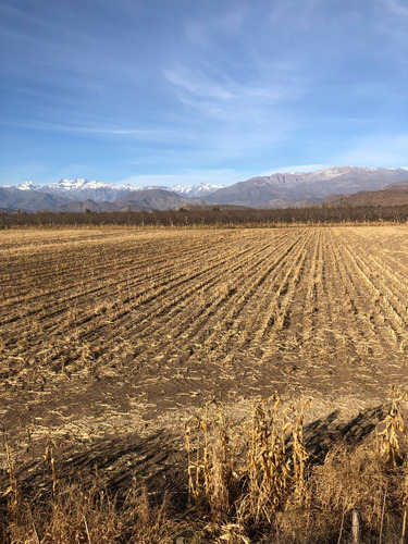 Venta Terreno Urbano Rinconada De Los Andes