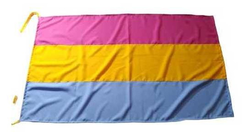 Bandera Diversidad Lgbtyq+ Pansexual 1.40 X 0.80 En Tela