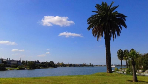 Imagen 5 de 8 de Nordelta | La Isla - El Mejor Lote De Todo Nordelta En Venta!!!