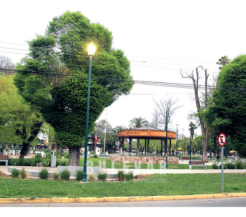 Sitio En Venta Calle Carrera 73 Y 75, Curicó, R. Del Maule.