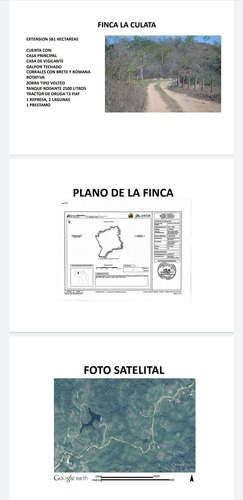 Imagen 12 de 14 de Venta Finca Tinaquillo Plano Pozo Tanque Cod. 422543 Cesar Laurentin