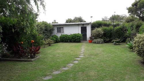 Imagen 4 de 6 de Casa Con Local Comercial