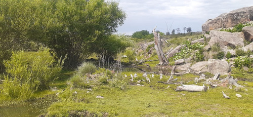 Campo En Venta , 260 Ha, 52 Ha ,14 Ha , Yacanto , Calamuchita , Córdoba , Argentina 