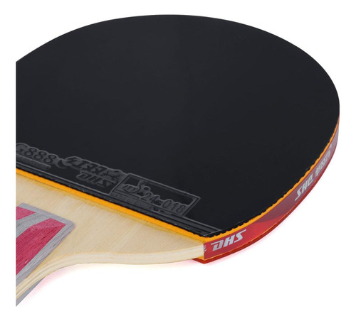 Raquete De Tênis De Mesa Dhs H4006 Classineta