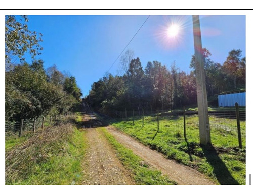 Parcela De 15 Has, A 1 Km Ruta 5 , Lipingue, Los Lagos