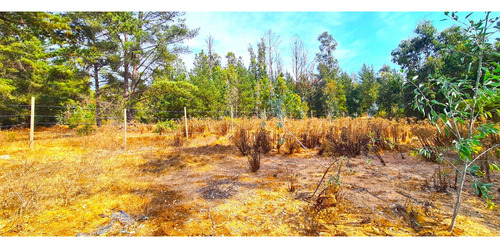 Espectacular Terreno De 10.000m² Hacienda Reñaca