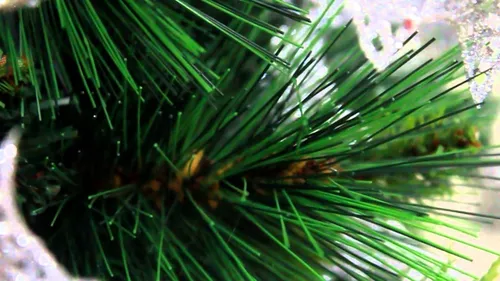 Árvore De Natal Bavarian Pine Côr Verde 1,80m - 580 Galhos