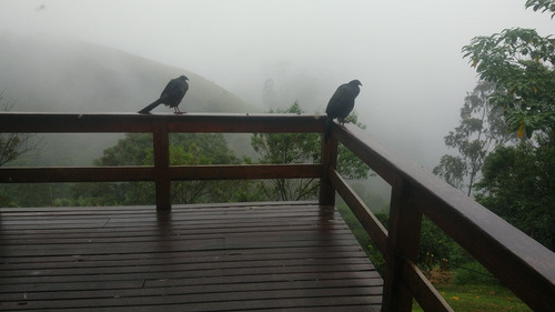 Belíssima Propriedade Em Visconde De Mauá