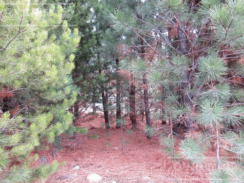 Imagen 5 de 12 de Terreno En Venta Bariloche, Dos Valle Club De Campo. Acepta Permuta Y Financiación