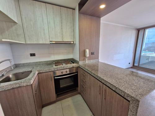 Se Arrenda Departamento De 1 Dormitorio En Concepción