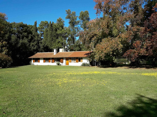 #venta Casa Quinta 11.990 Mts. - Lobos - Buenos Aires